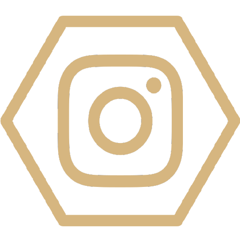 logo instagram